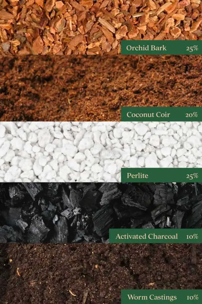 Soil Mix Recipe for Houseplant