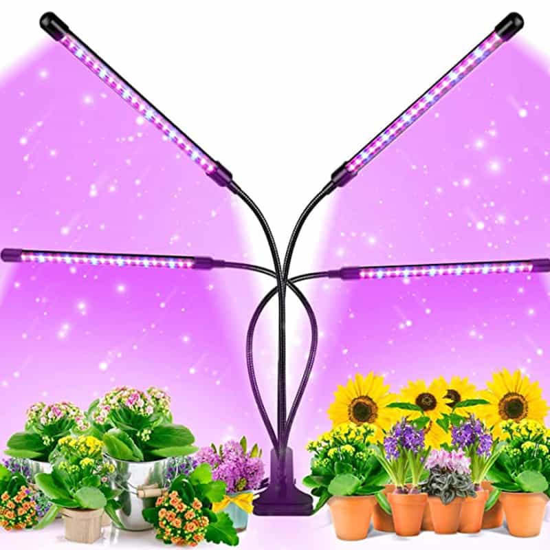 LED Grow light lamp available in various forms