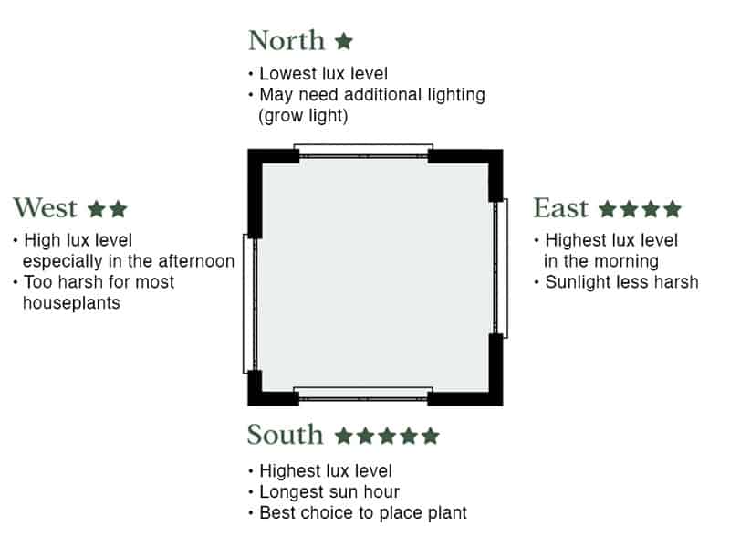 Light Level on different windows