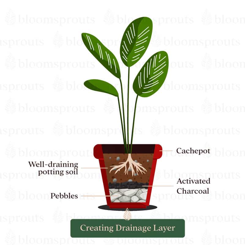 How to create drainage layer for pot without drainage layer