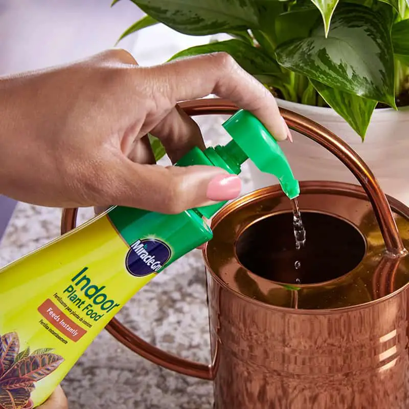 Miracle Gro Liquid Fertilizer for Plant